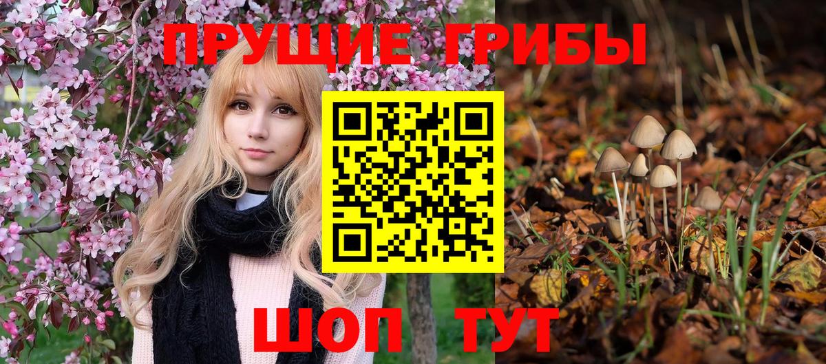 Галлюциногенные грибы Psilocybe Мытищи