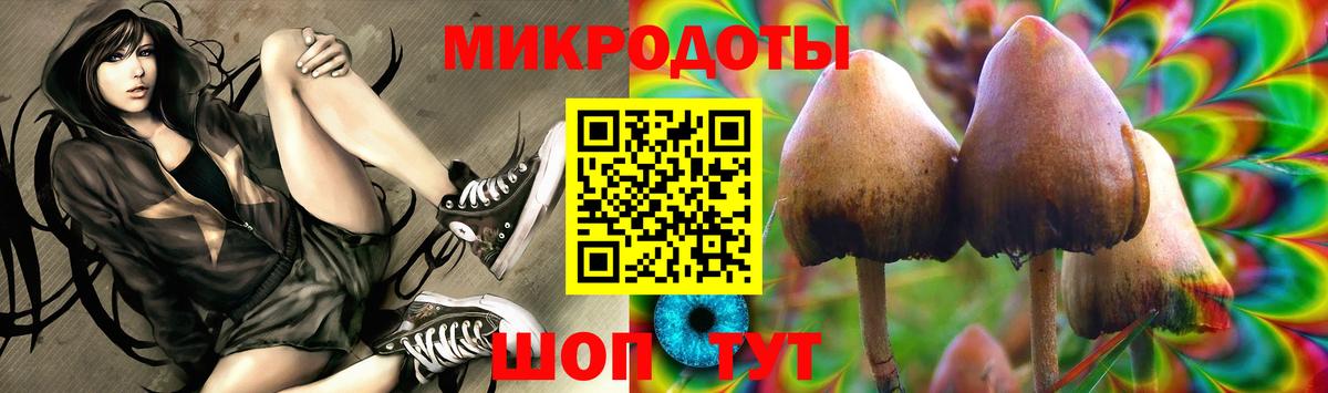 Мытищи  Псилоцибиновые грибы MAGIC MUSHROOMS  Вход с VPN 